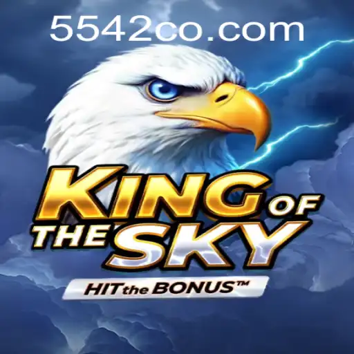 KingOfTheSky: Conquer the Virtual Skies with Strategy and Skill